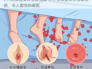 91n免费处女在线破视频-91n 免费处女在线破视频，令人震惊的画面