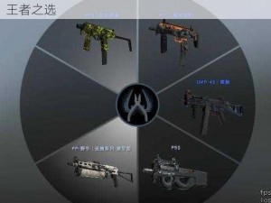 CSGO野牛冲锋枪：战场上之利器，精准射击的王者之选