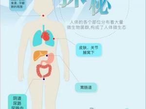 安吉拉生活中的关键注意事项介绍：保持健康与安全并重的生活态度