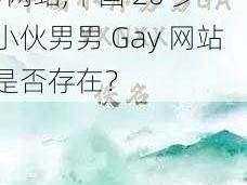 中国20岁小伙男男Gay网站,中国 20 岁小伙男男 Gay 网站是否存在？