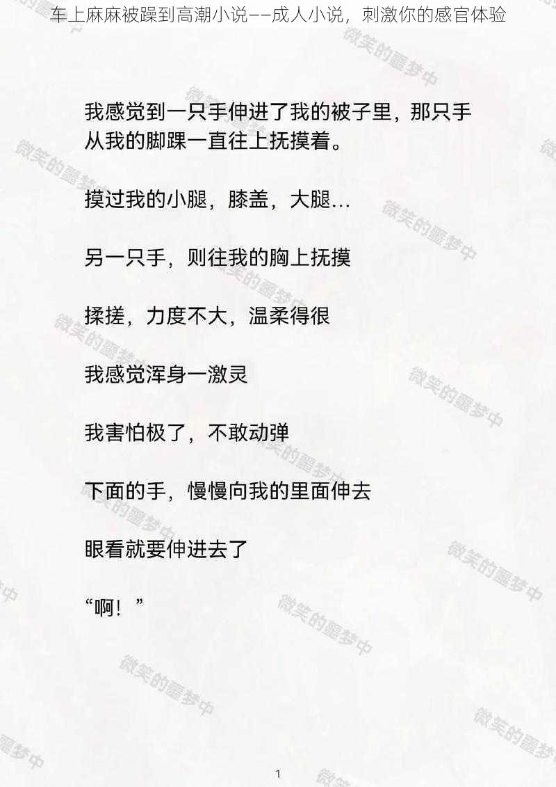 车上麻麻被躁到高潮小说——成人小说，刺激你的感官体验