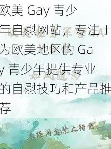 欧美 Gay 青少年自慰网站，专注于为欧美地区的 Gay 青少年提供专业的自慰技巧和产品推荐