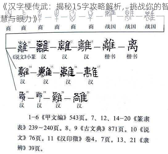 《汉字梗传武：揭秘15字攻略解析，挑战你的智慧与眼力》