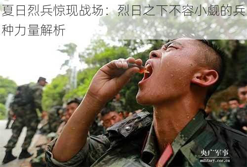 夏日烈兵惊现战场：烈日之下不容小觑的兵种力量解析