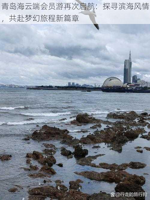 青岛海云端会员游再次启航：探寻滨海风情，共赴梦幻旅程新篇章