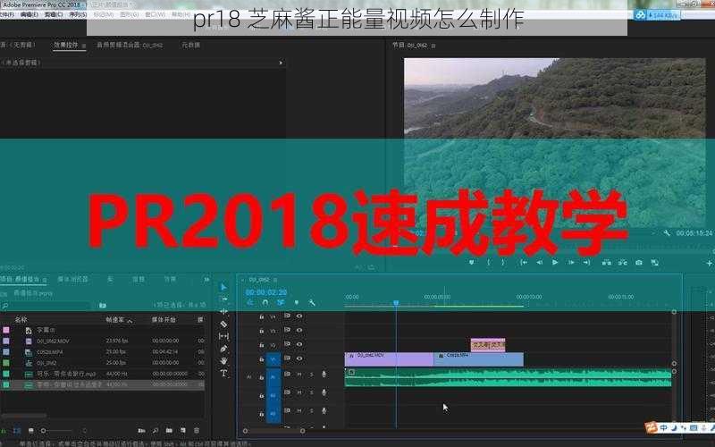 pr18 芝麻酱正能量视频怎么制作