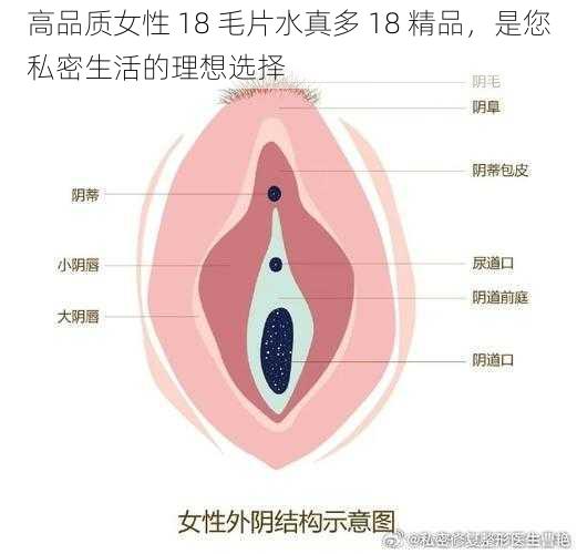 高品质女性 18 毛片水真多 18 精品，是您私密生活的理想选择