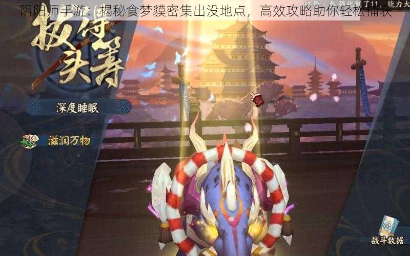 阴阳师手游：揭秘食梦貘密集出没地点，高效攻略助你轻松捕获