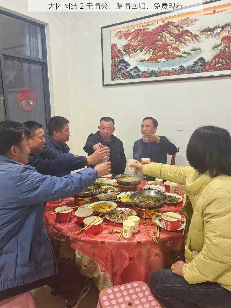 大团圆结 2 亲情会：温情回归，免费观看