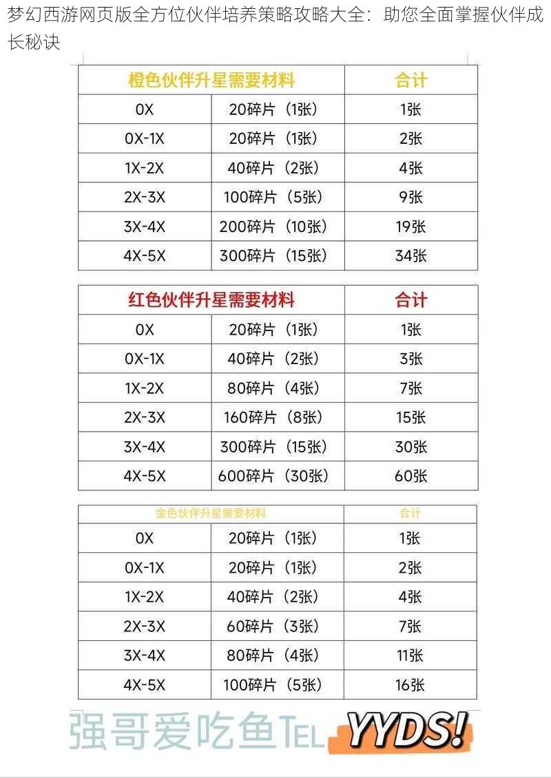 梦幻西游网页版全方位伙伴培养策略攻略大全：助您全面掌握伙伴成长秘诀