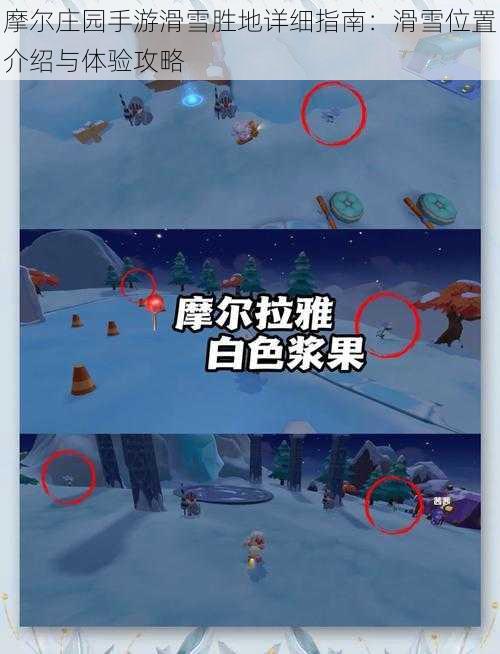 摩尔庄园手游滑雪胜地详细指南：滑雪位置介绍与体验攻略