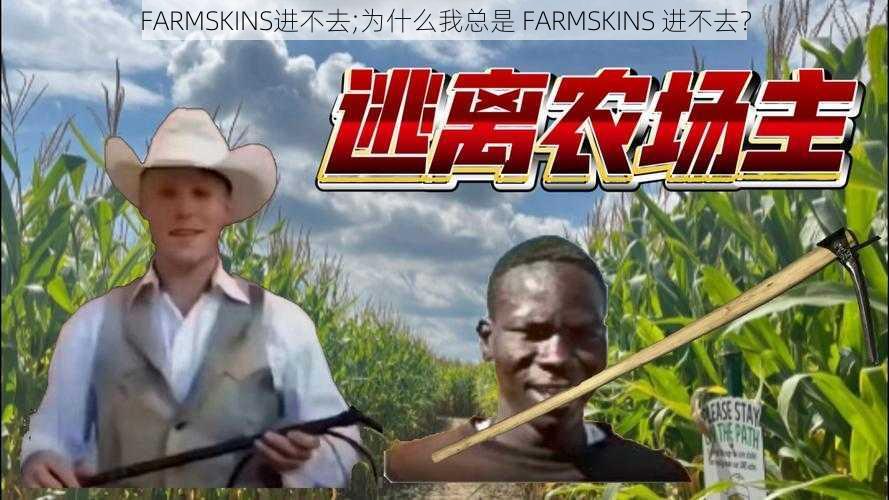 FARMSKINS进不去;为什么我总是 FARMSKINS 进不去？