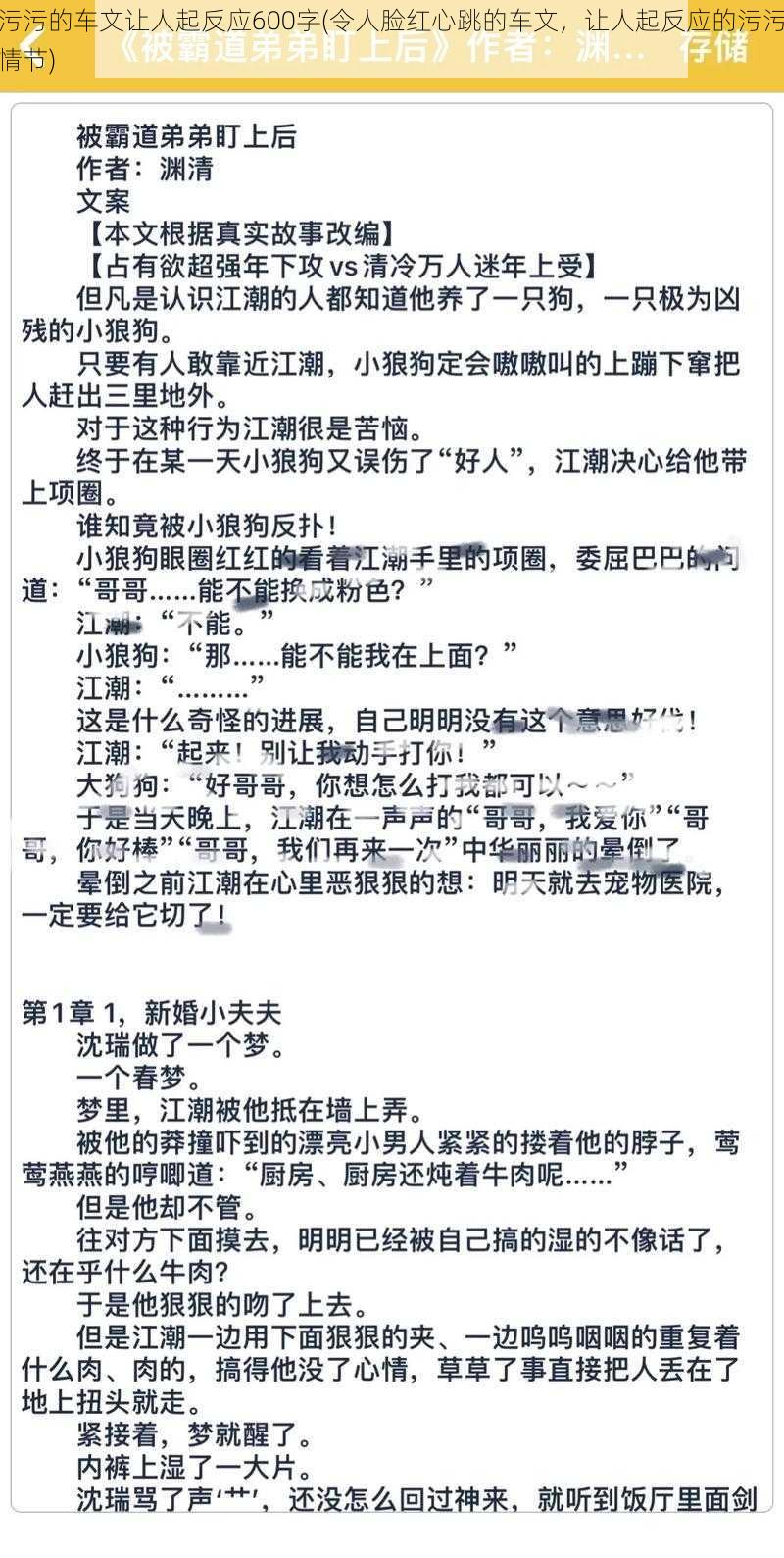 污污的车文让人起反应600字(令人脸红心跳的车文，让人起反应的污污情节)