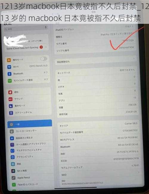 1213岁macbook日本竟被指不久后封禁_1213 岁的 macbook 日本竟被指不久后封禁