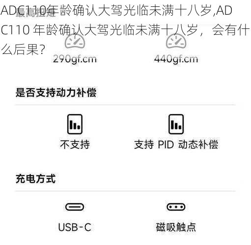 ADC110年龄确认大驾光临未满十八岁,ADC110 年龄确认大驾光临未满十八岁，会有什么后果？