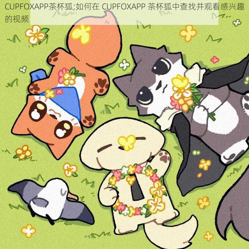 CUPFOXAPP茶杯狐;如何在 CUPFOXAPP 茶杯狐中查找并观看感兴趣的视频