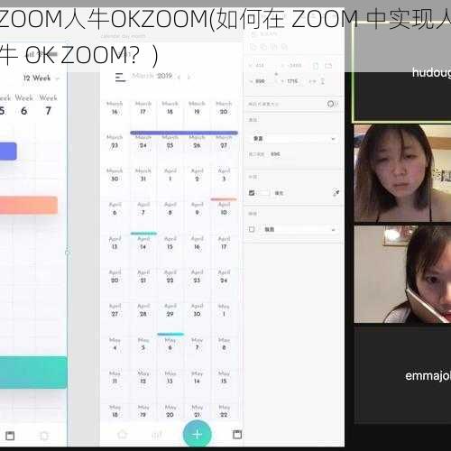 ZOOM人牛OKZOOM(如何在 ZOOM 中实现人牛 OK ZOOM？)