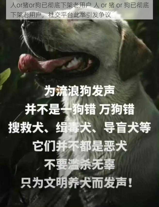 人or猪or狗已彻底下架老用户 人 or 猪 or 狗已彻底下架老用户，社交平台此举引发争议