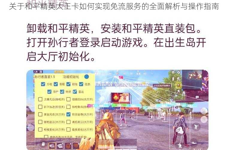 关于和平精英大王卡如何实现免流服务的全面解析与操作指南