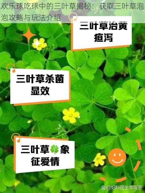 欢乐球吃球中的三叶草揭秘：获取三叶草泡泡攻略与玩法介绍