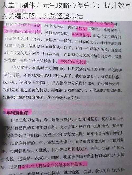 大掌门刷体力元气攻略心得分享：提升效率的关键策略与实践经验总结