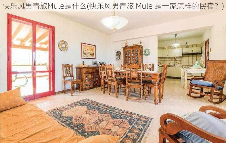 快乐风男青旅Mule是什么(快乐风男青旅 Mule 是一家怎样的民宿？)