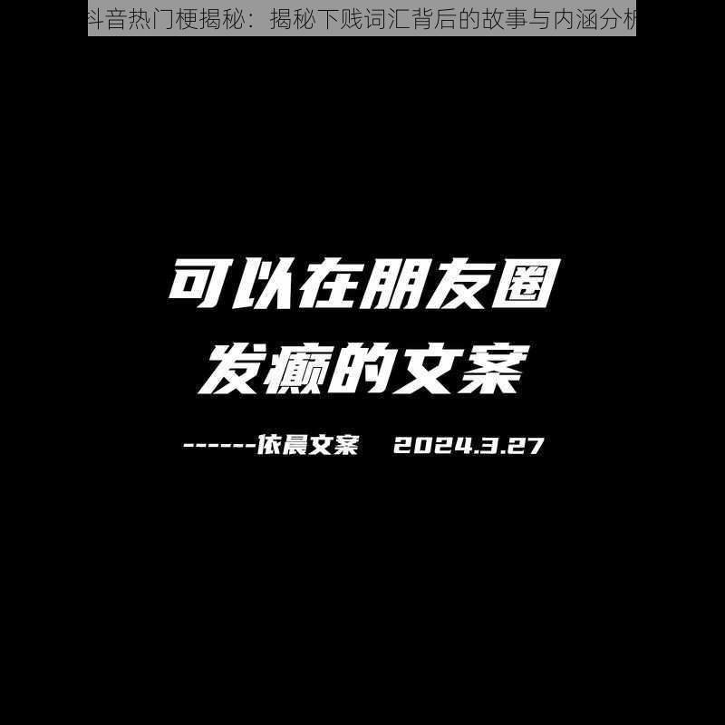 抖音热门梗揭秘：揭秘下贱词汇背后的故事与内涵分析