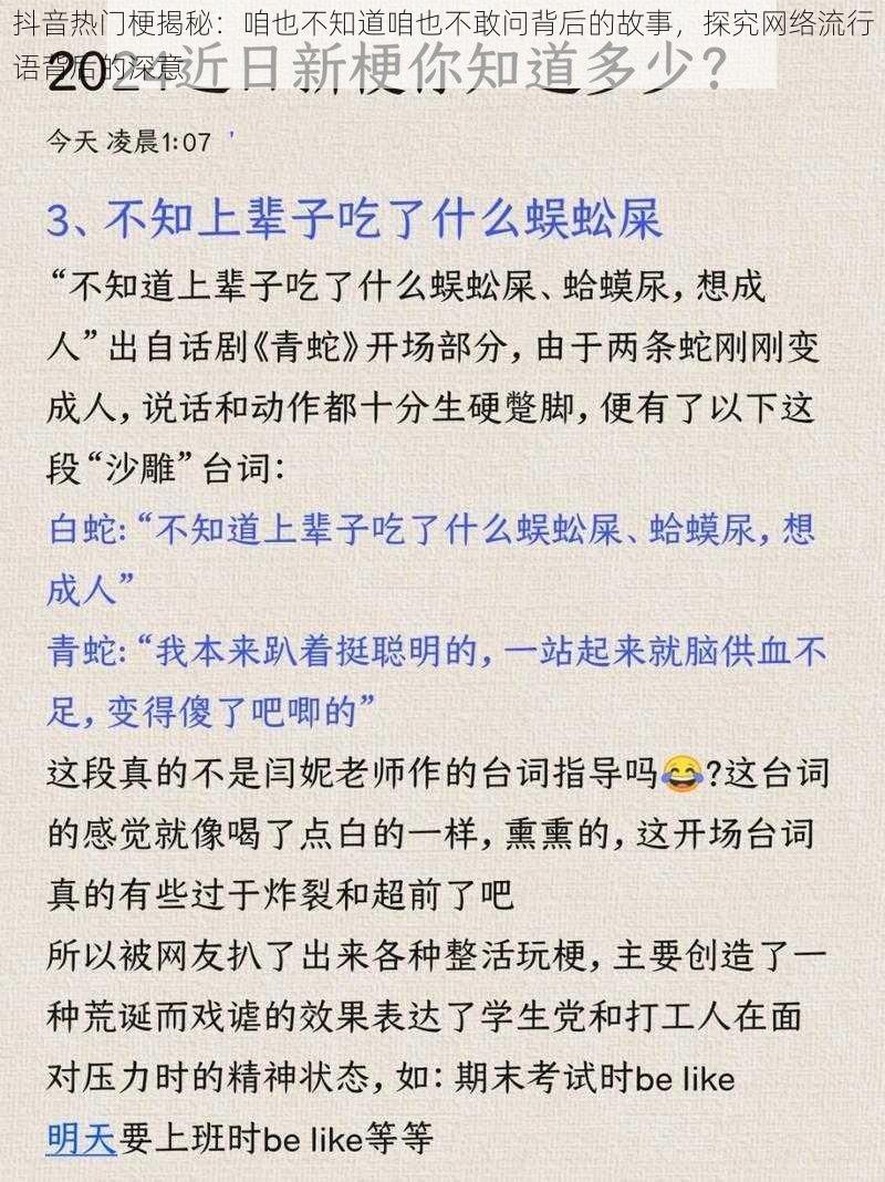 抖音热门梗揭秘：咱也不知道咱也不敢问背后的故事，探究网络流行语背后的深意