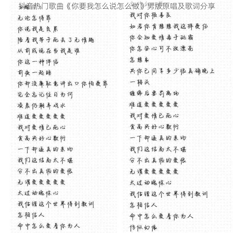 抖音热门歌曲《你要我怎么说怎么做》男版原唱及歌词分享