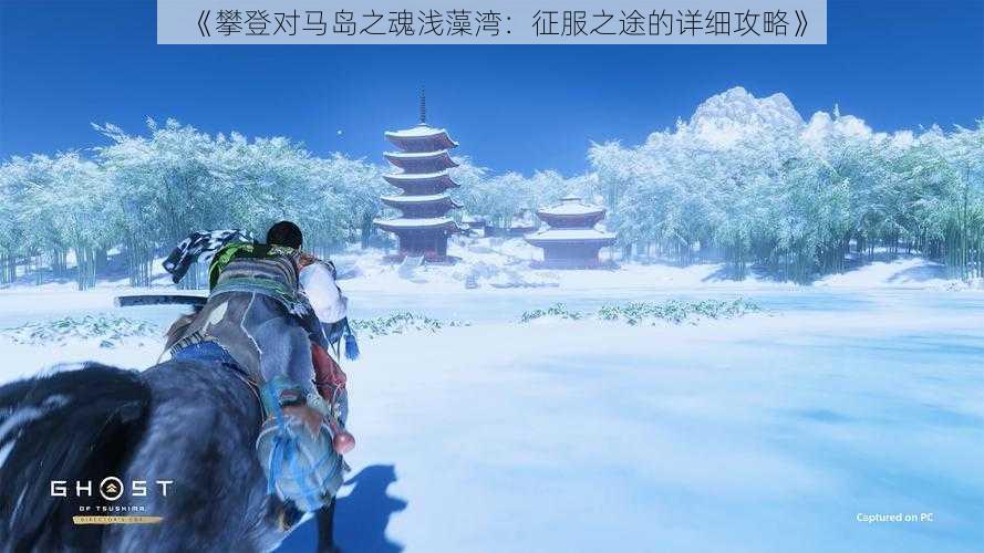 《攀登对马岛之魂浅藻湾：征服之途的详细攻略》