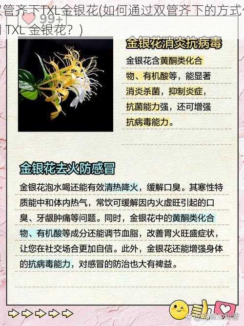 双管齐下TXL金银花(如何通过双管齐下的方式使用 TXL 金银花？)