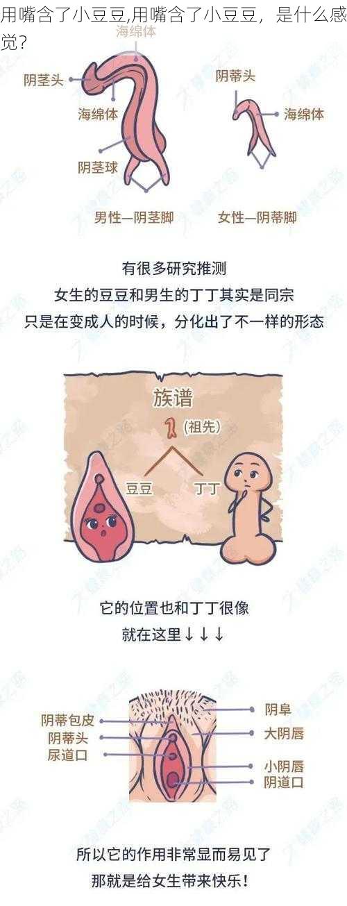 用嘴含了小豆豆,用嘴含了小豆豆，是什么感觉？