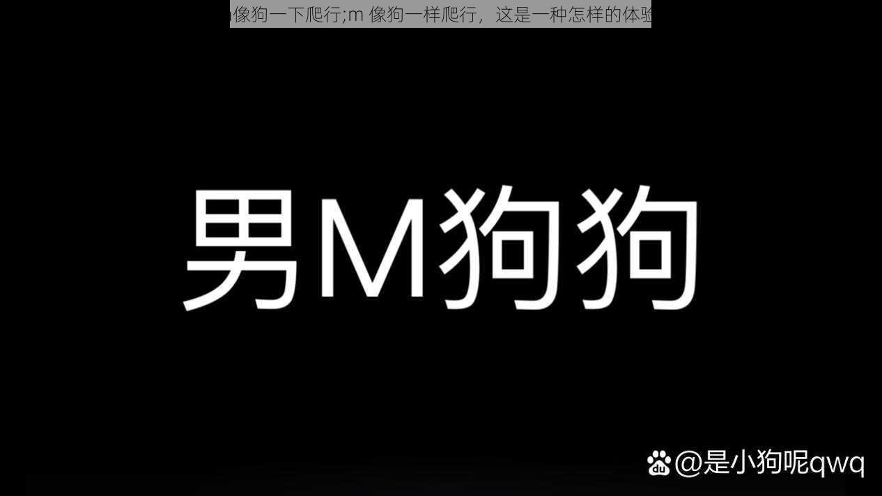 m像狗一下爬行;m 像狗一样爬行，这是一种怎样的体验？