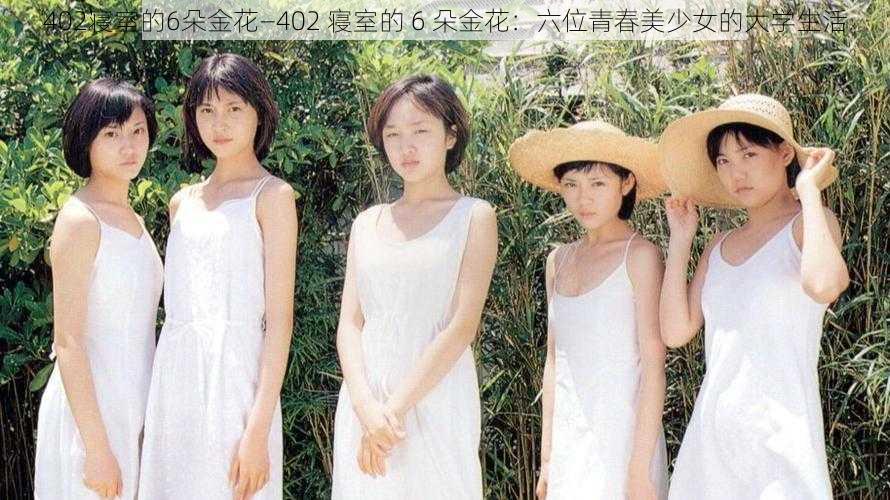 402寝室的6朵金花—402 寝室的 6 朵金花：六位青春美少女的大学生活