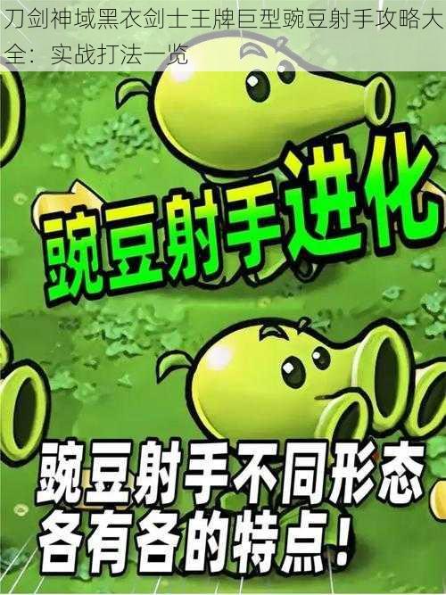 刀剑神域黑衣剑士王牌巨型豌豆射手攻略大全：实战打法一览