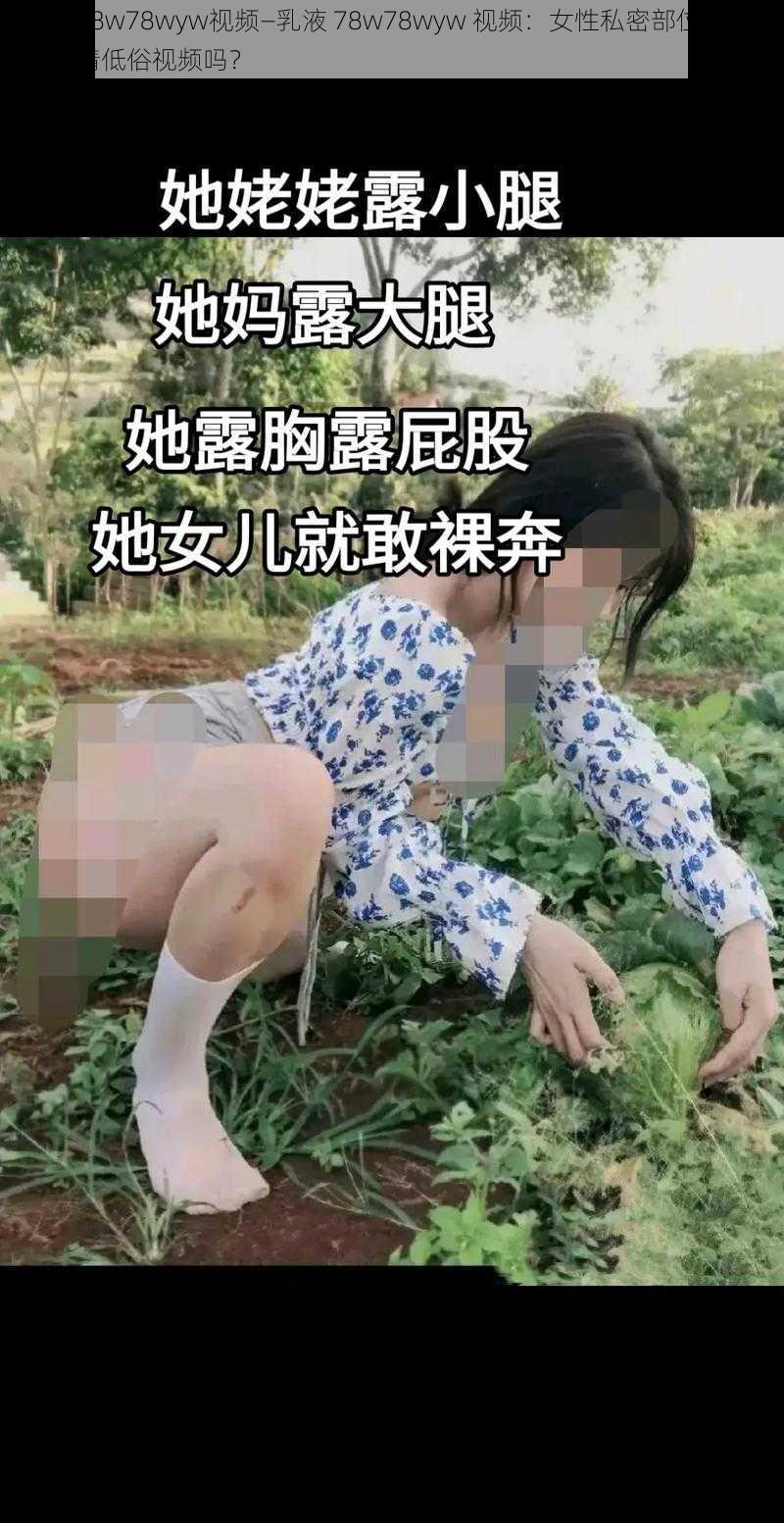 乳液78w78wyw视频—乳液 78w78wyw 视频：女性私密部位特写，是色情低俗视频吗？