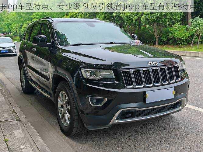 Jeep车型特点、专业级 SUV 引领者 Jeep 车型有哪些特点？