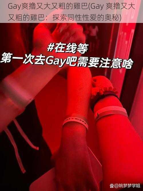 Gay爽擼又大又粗的雞巴(Gay 爽擼又大又粗的雞巴：探索同性性爱的奥秘)