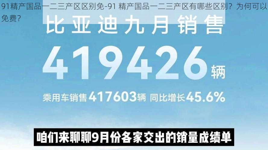 91精产国品一二三产区区别免-91 精产国品一二三产区有哪些区别？为何可以免费？