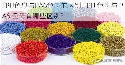 TPU色母与PA6色母的区别,TPU 色母与 PA6 色母有哪些区别？