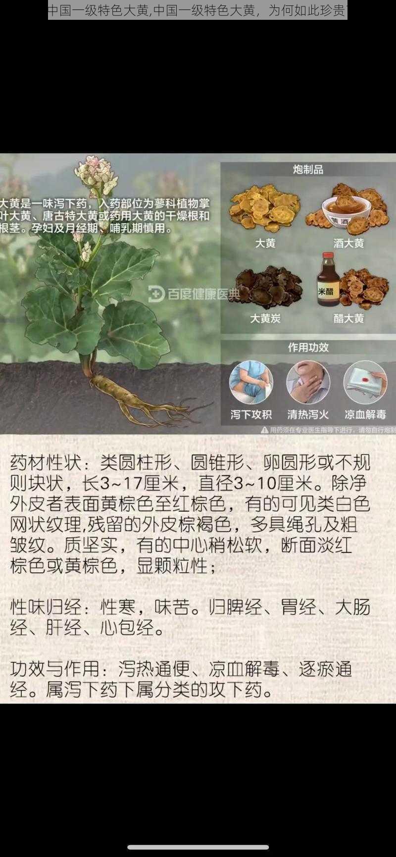 中国一级特色大黄,中国一级特色大黄，为何如此珍贵？