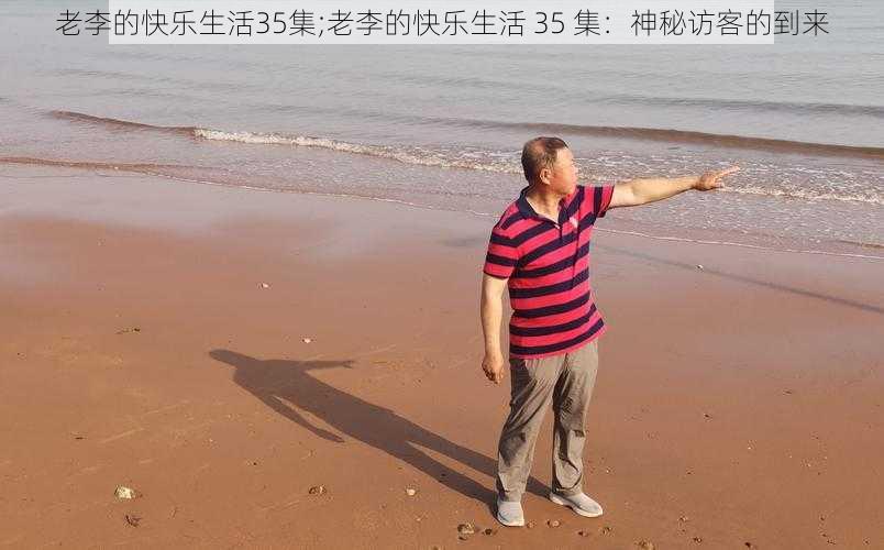 老李的快乐生活35集;老李的快乐生活 35 集：神秘访客的到来