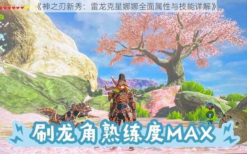 《神之刃新秀：雷龙克星娜娜全面属性与技能详解》