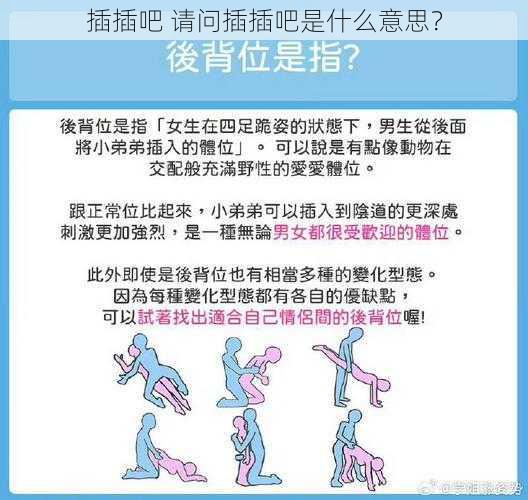 插插吧 请问插插吧是什么意思？