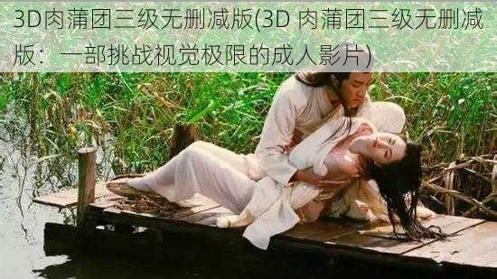 3D肉蒲团三级无删减版(3D 肉蒲团三级无删减版：一部挑战视觉极限的成人影片)