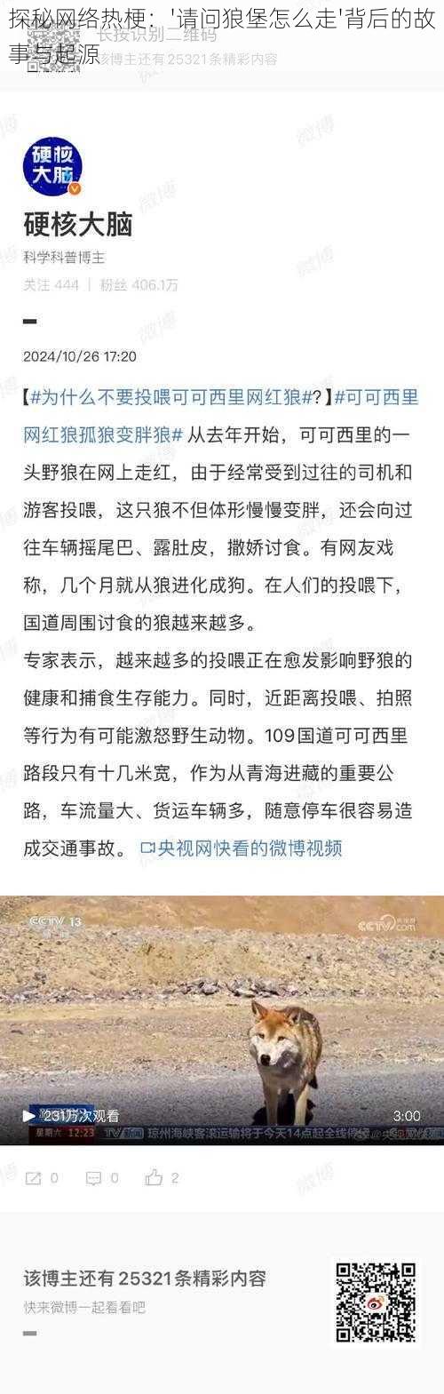 探秘网络热梗：'请问狼堡怎么走'背后的故事与起源