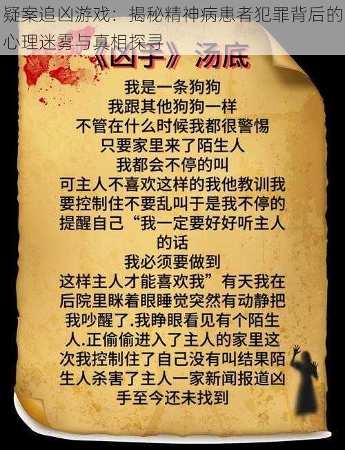 疑案追凶游戏：揭秘精神病患者犯罪背后的心理迷雾与真相探寻