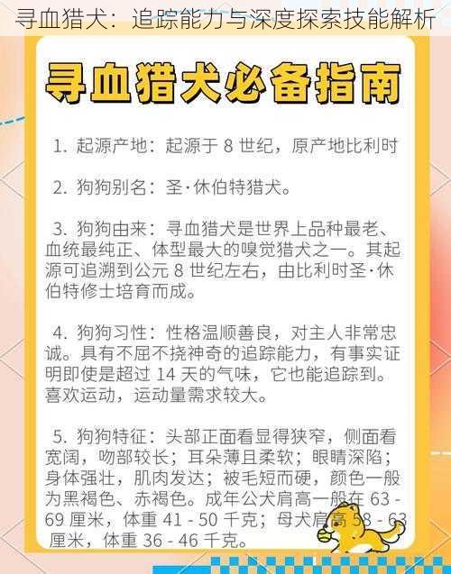 寻血猎犬：追踪能力与深度探索技能解析