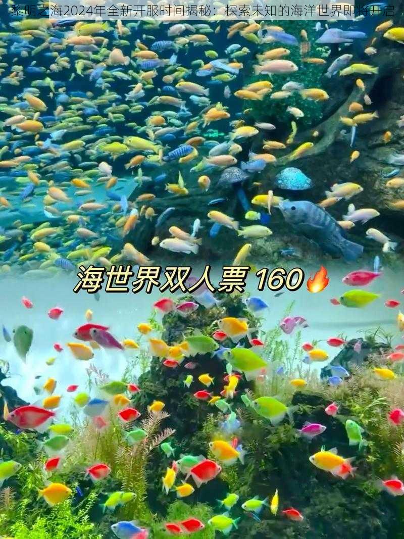 黎明之海2024年全新开服时间揭秘：探索未知的海洋世界即将开启