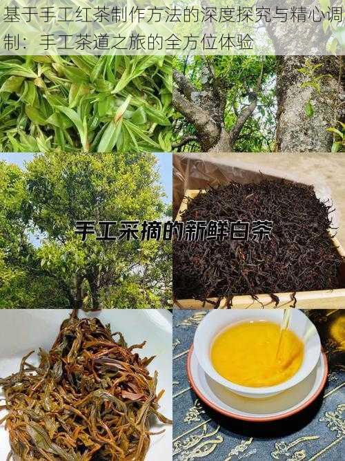 基于手工红茶制作方法的深度探究与精心调制：手工茶道之旅的全方位体验